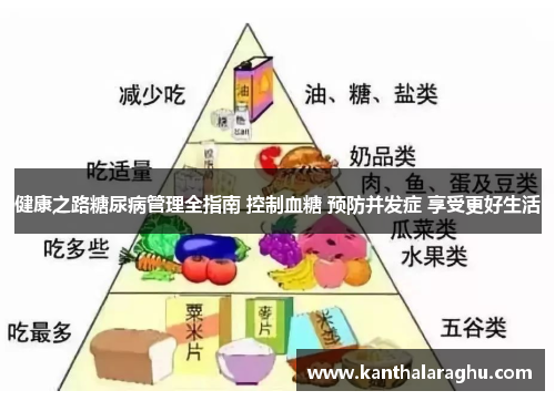 健康之路糖尿病管理全指南 控制血糖 预防并发症 享受更好生活