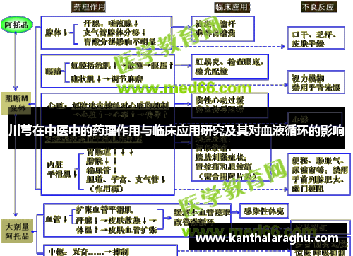 川芎在中医中的药理作用与临床应用研究及其对血液循环的影响